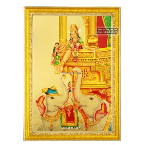 Gold Plated Wooden Photo Frame